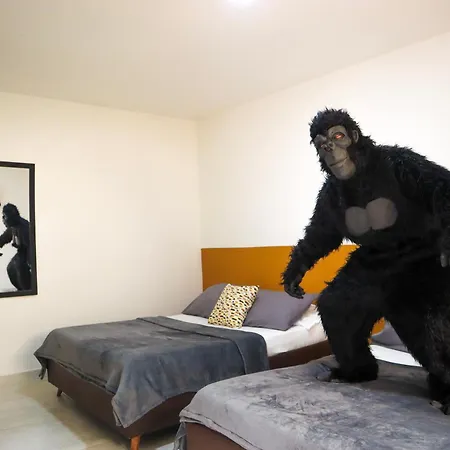 Trip Monkey Origen Hotel San Gil Room photo