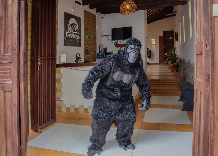 Trip Monkey Origen