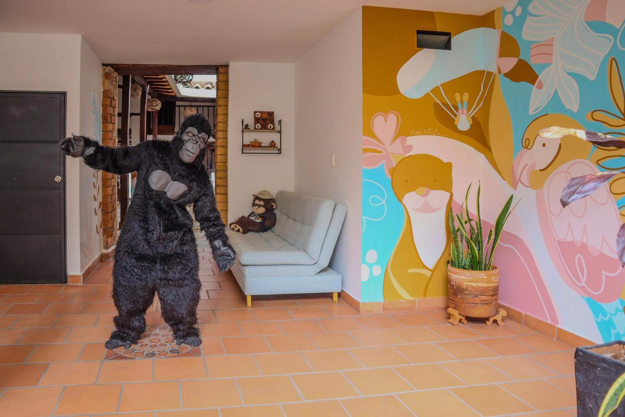 Trip Monkey Origen 2*