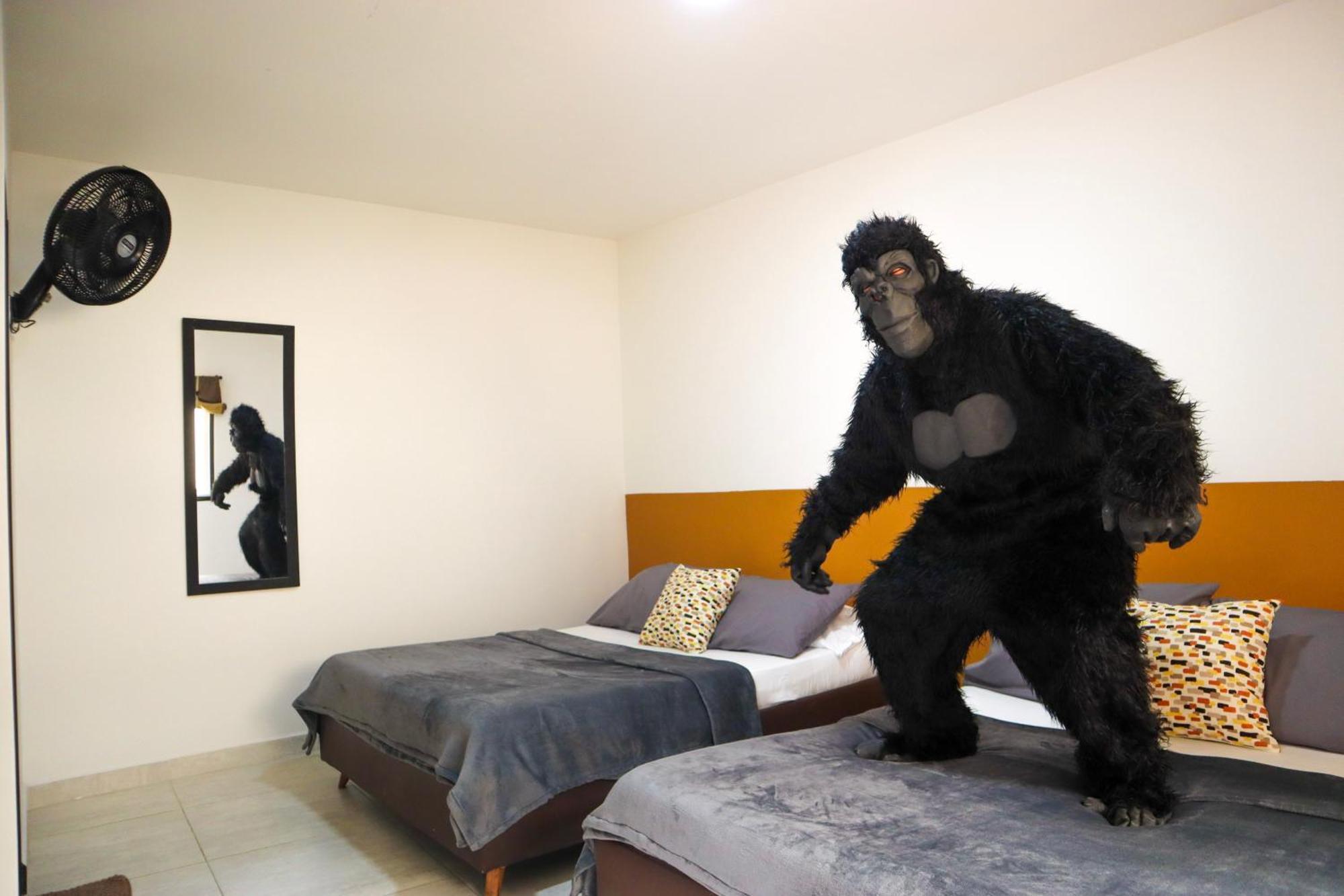 招待所 Trip Monkey Origen 2*